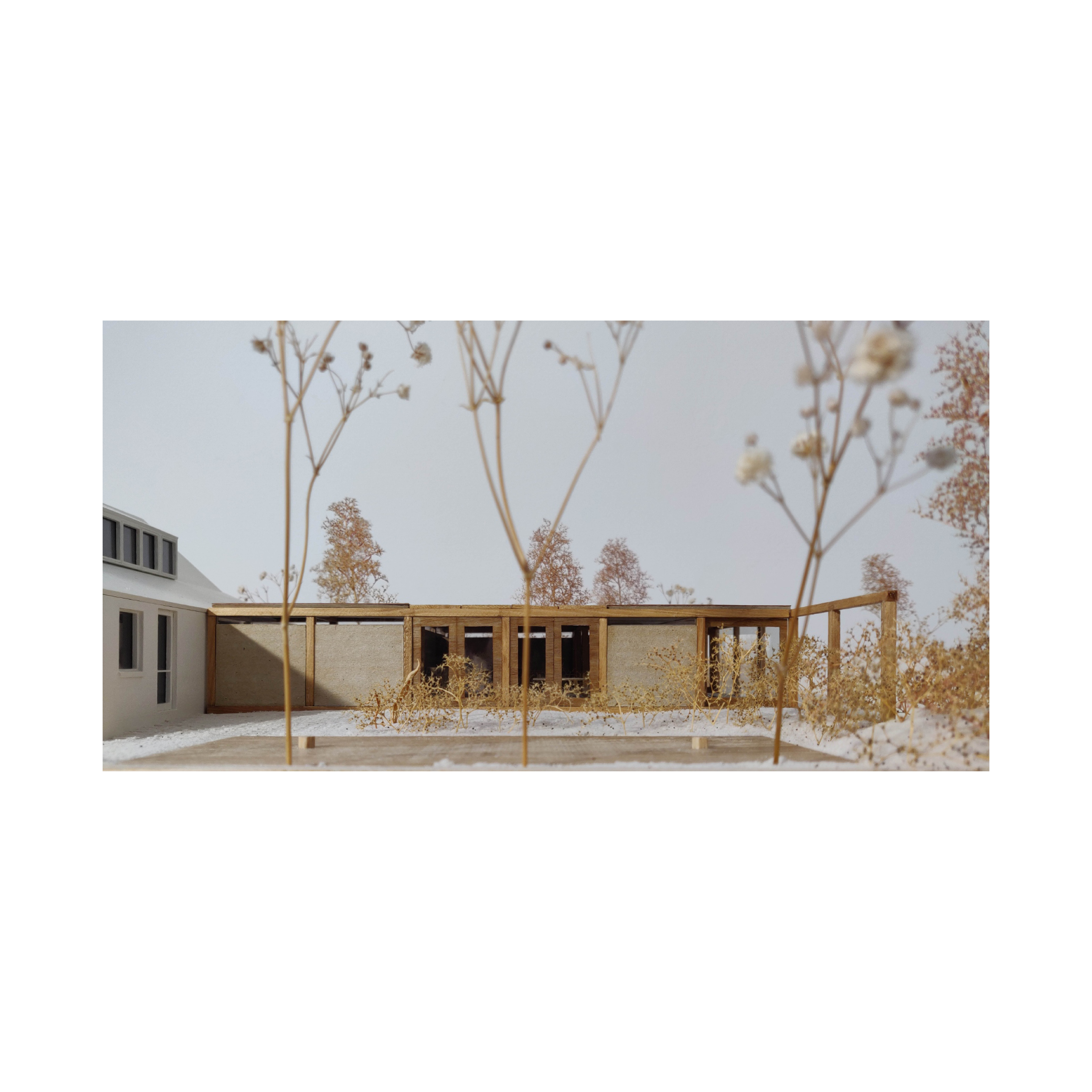 Model for Dunes & Lattice by Silas Windrich - Atelier SW